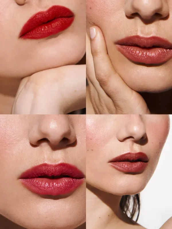 Lip Palettesnew<Rouje La Palette Madame
