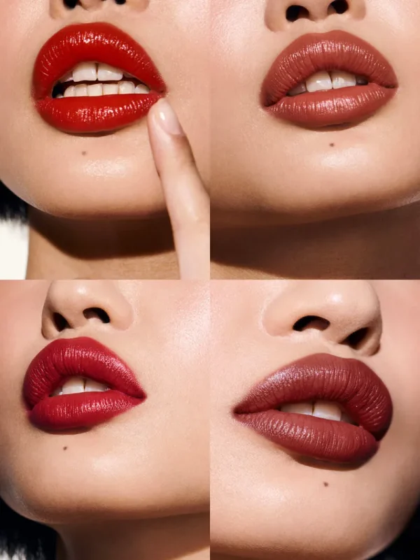 Lip Palettesnew<Rouje La Palette Signature