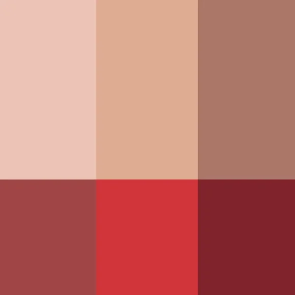The Face Palette<Rouje La Palette Visage Multi