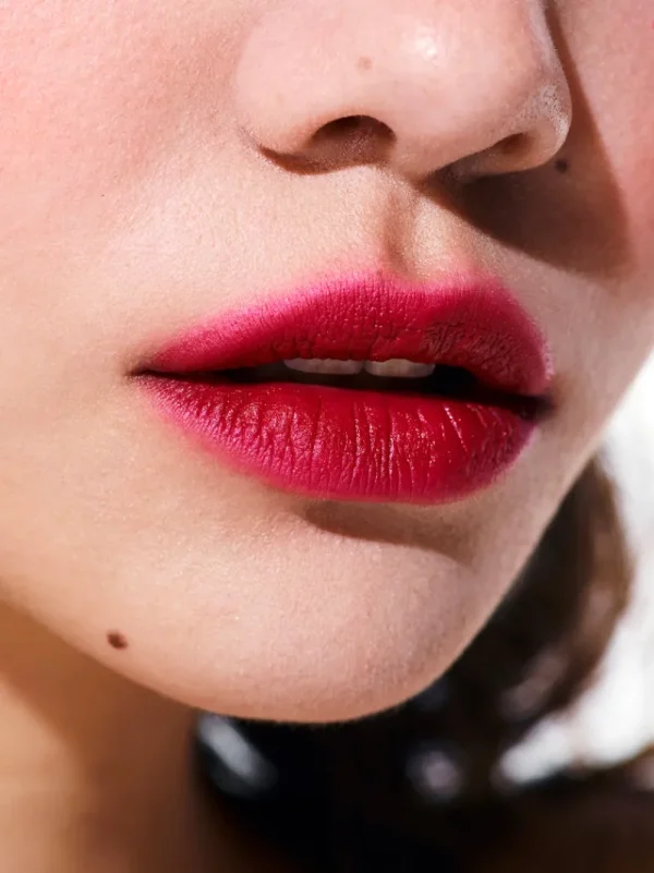 Lipsticks<Rouje Le Rouge Camille