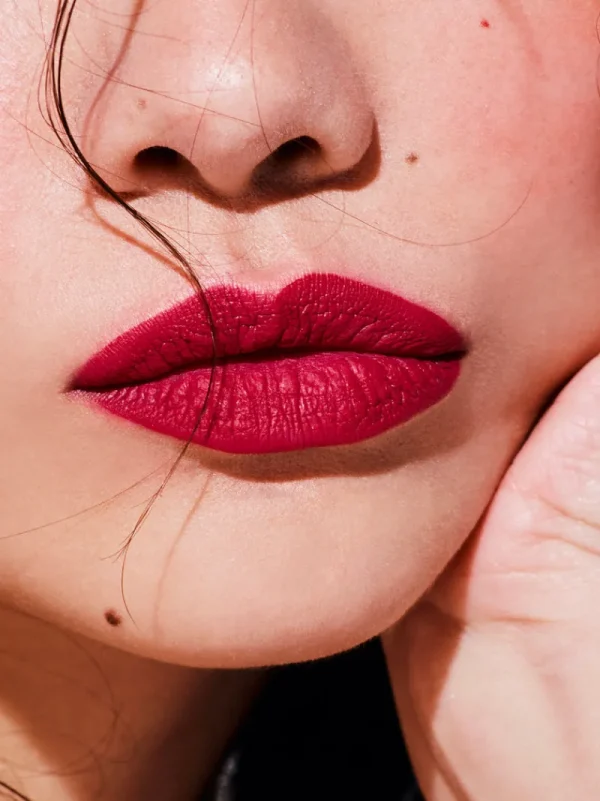 Creamy Lip Colors<Rouje Le Velours Camille
