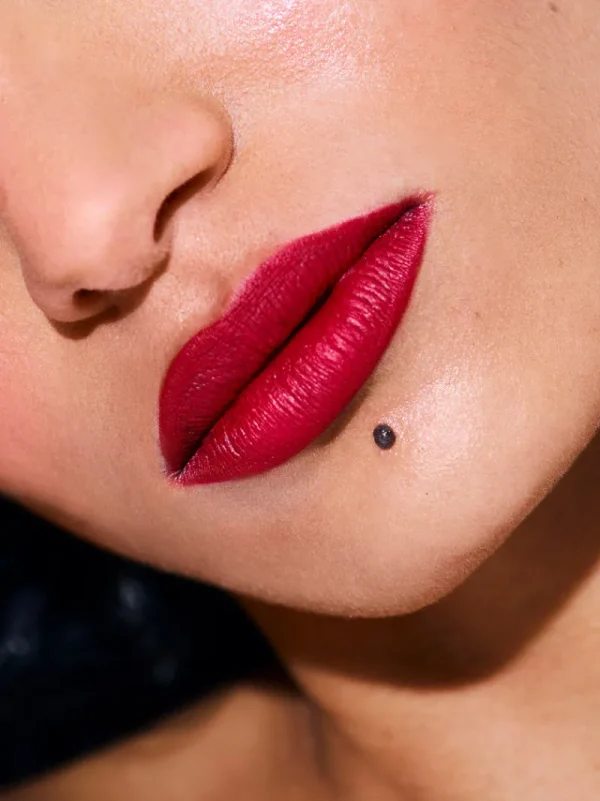 Creamy Lip Colors<Rouje Le Velours Camille