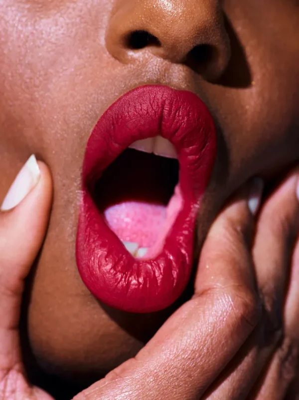 Creamy Lip Colors<Rouje Le Velours Camille