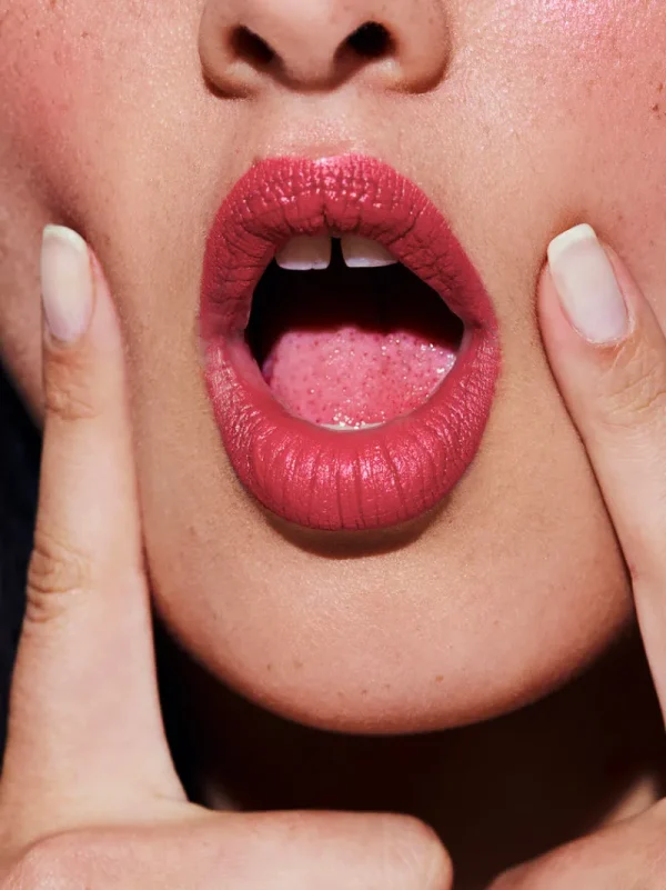 Creamy Lip Colors<Rouje Le Velours Hélène